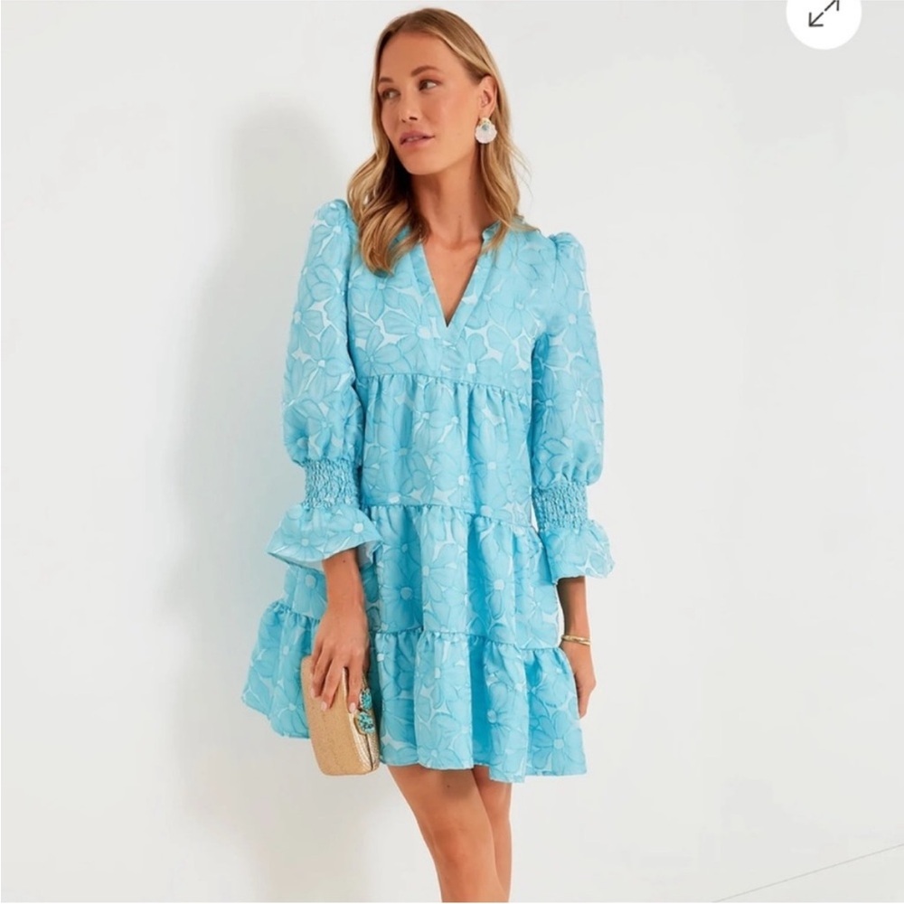 Tuckernuck Pomander Place Blue Daisy Jacquard Dress EUC